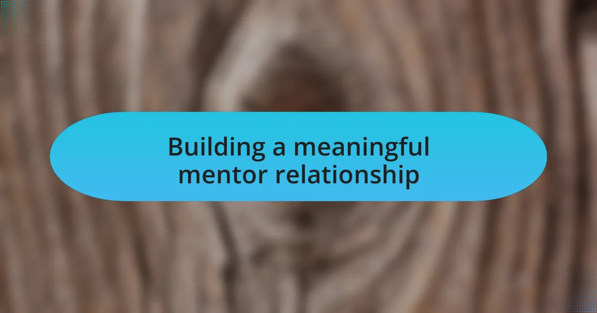 Building a meaningful mentor relationship