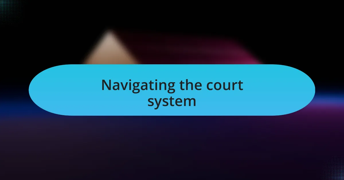 Navigating the court system