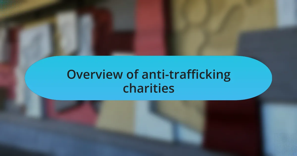 Overview of anti-trafficking charities
