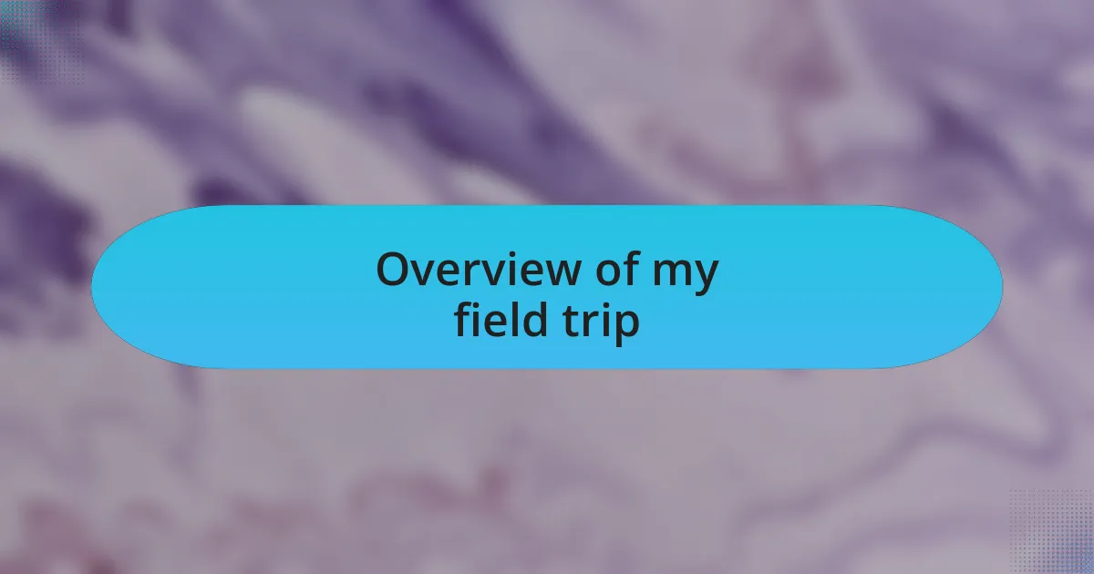 Overview of my field trip