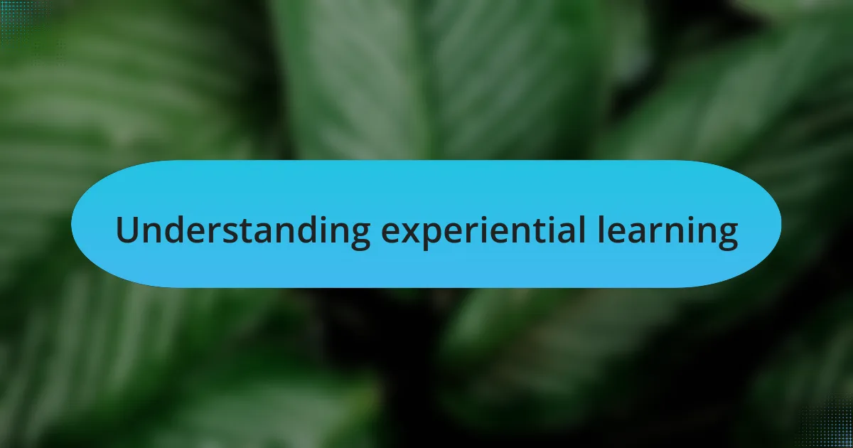 Understanding experiential learning