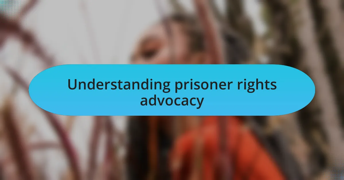 Understanding prisoner rights advocacy